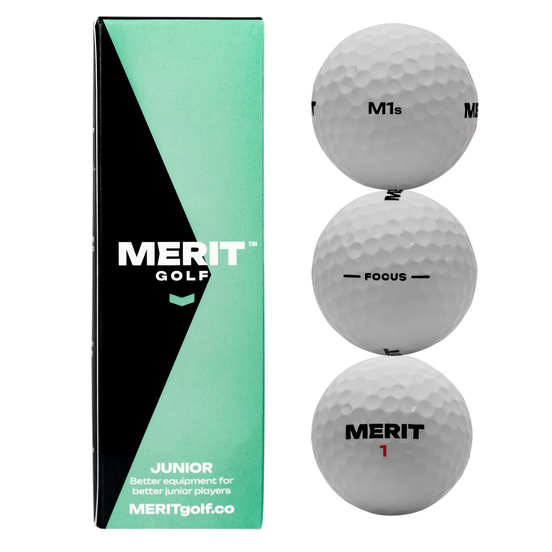 MERIT M1s (1 Dozen)